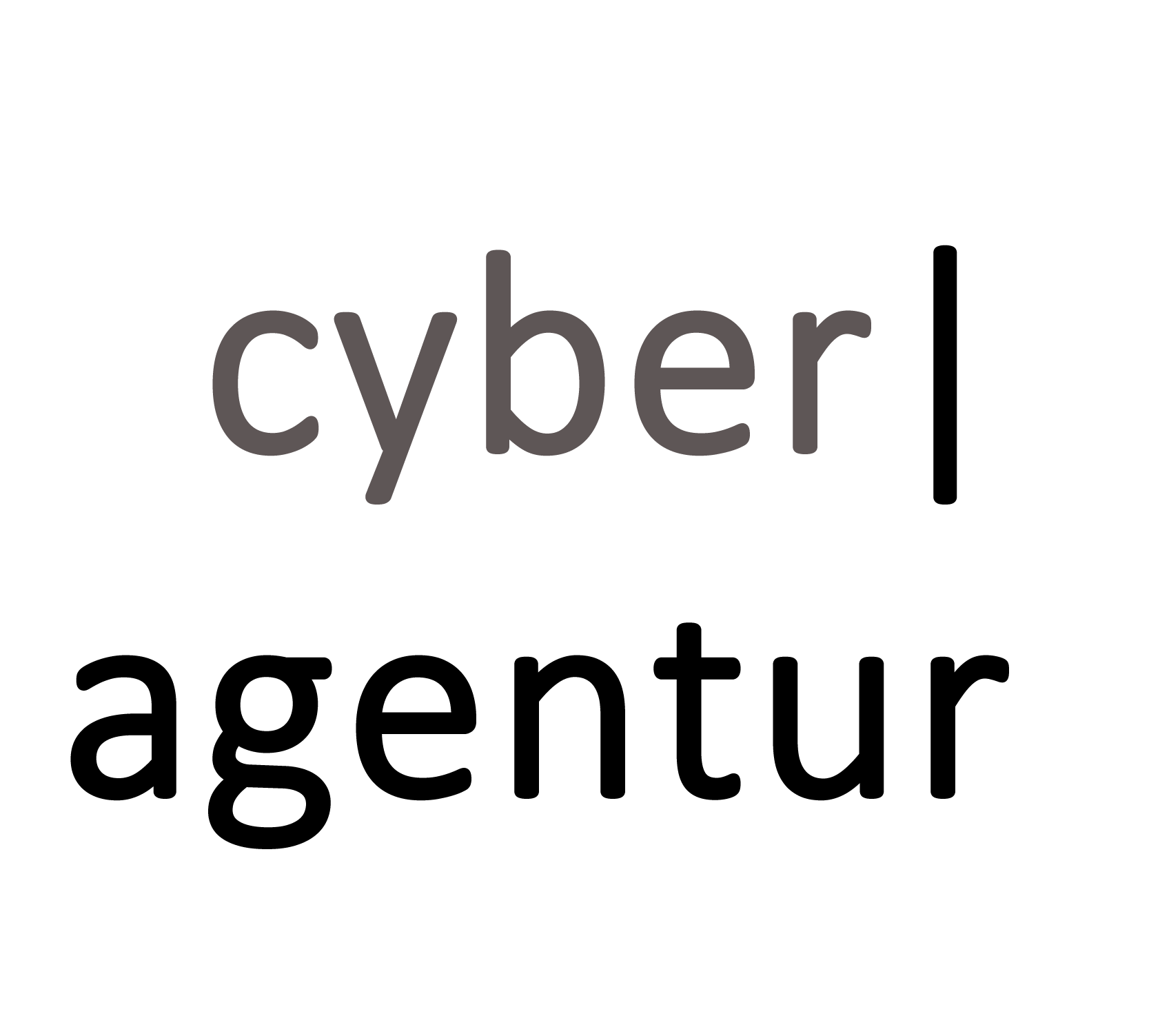 Agentur für Innovation in der Cybersicherheit GmbH
